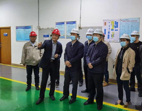 省人大常委會(huì)赴我區(qū)調(diào)研固體廢物污染治理工作