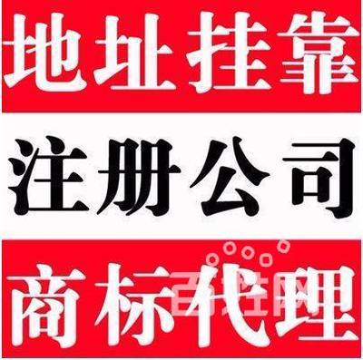 專業高效，一站式企業服務 相城區陸慕諾信財務小張詳解